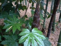 -苏州河梦清园环保主题公园