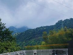 -原乡芦茨咖啡