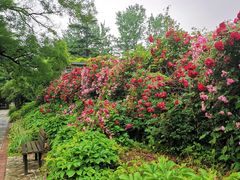 -国家植物园南园