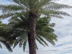 -海豚湾·大堂吧(厦门佰翔波特曼七星湾酒店)