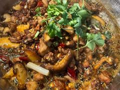 -食神又名厕所兔