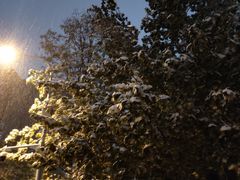 -小龙坎老火锅(北京三里屯店)