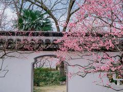 -梅花山(明孝陵内)