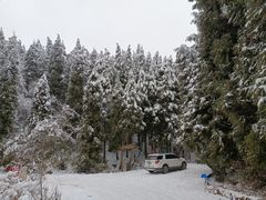 -武陵山森林公园