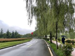 -洨河生态公园