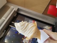 豆浆霜冰淇淋-永和大王(长寿路店)