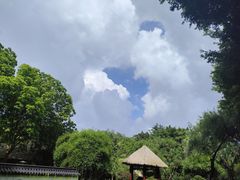 -深圳国际园林花卉博览园