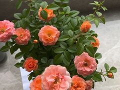 -闻溪有渔·活鱼现烤才好吃(太仓万达店)
