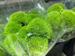 -万达广场(龙湾店)