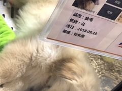 -宠物世家(仲盛世界商城店)