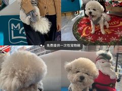 -美联众合爱康动物医院•复杂内科•肿瘤科•牙科•腔镜诊疗中心