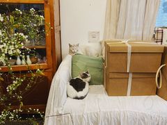 -知物癖(牛王庙店)