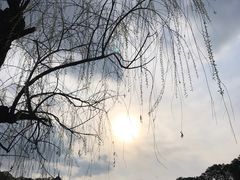 -棠湖公园