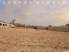 -北京群众马术培训基地