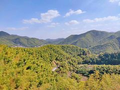 -宁波浙东大竹海景区
