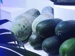 -长春农业博览园
