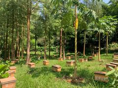 -广州市白云山风景名胜区