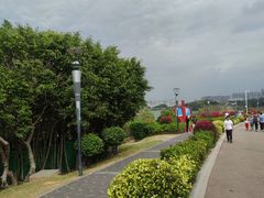 -立新湖公园