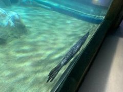 -临沂极地海洋王国