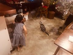 -咖法森林·咖啡  酒吧(天河店)