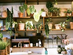 -自由生长植物工作室(深港花卉中心店)