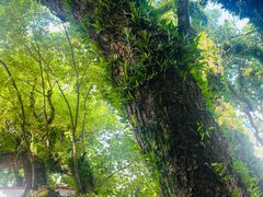 -澳门圣地牙哥古堡酒店