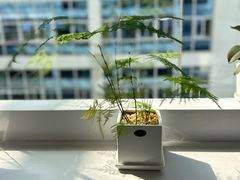 -南山图书馆(常兴路店)