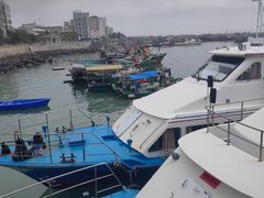 -硇洲岛旅游区