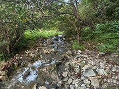 -终南山国家森林公园