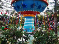 -南宫五洲植物乐园