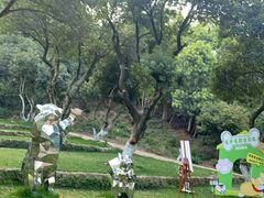 -杭州开元森泊度假乐园