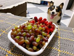 -何庄子阿米玛玛农产品批发市场
