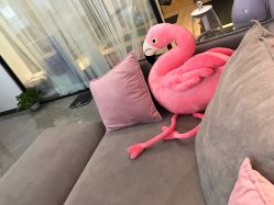 -JC·YOGA静禅瑜伽普拉提