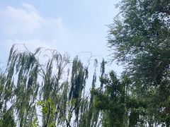 -泉城广场