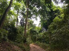-保利石象湖景区