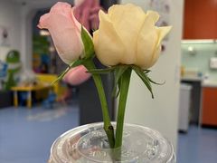 -极橙儿童齿科矫正中心(奥城店)