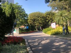 -东风公园