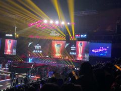 -宝能国际体育演艺中心