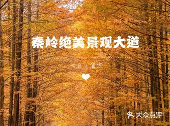 秦岭红叶盛宴｜曝光一条绝美景观大道
