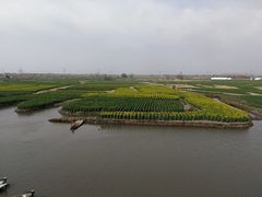 -溱湖国家湿地公园