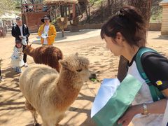 -大连森林动物园