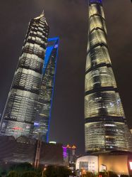 -巍阁高端月子会所