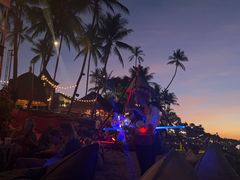 -Coco Tam’s