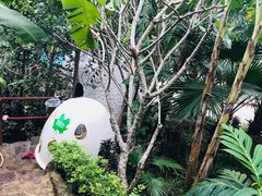 -100蛋泥浆浴