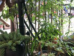 -三峡古玩城(泰古广场店)