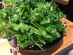 香菜-湊湊火锅·茶憩(皇姑万象汇店)