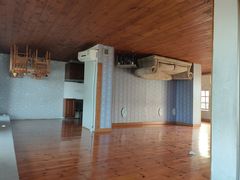 -金山农民画村-枫泾波兰倒置屋