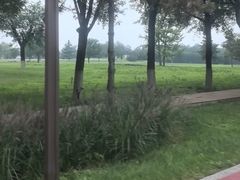 -汉长安城未央宫国家考古遗址公园