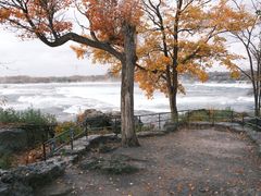 -尼亚加拉瀑布州立公园