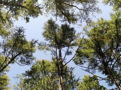 -白草畔自然风景区